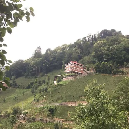 Apartment Gunguli *