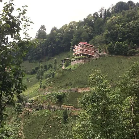 Gunguli Apartment
