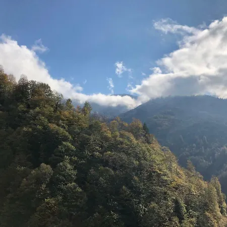 Gunguli * Kukunat